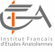logo IFEA