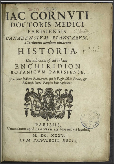 Iac Cornuti doctoria medici Parisiensis Canadensium plantarum  J. P. Cornut. 1635